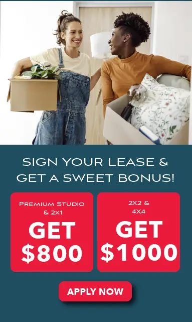 promotion